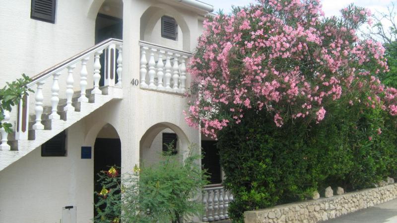 Apartments Mint Povljana - 50M From Sandy Beach ภายนอก รูปภาพ